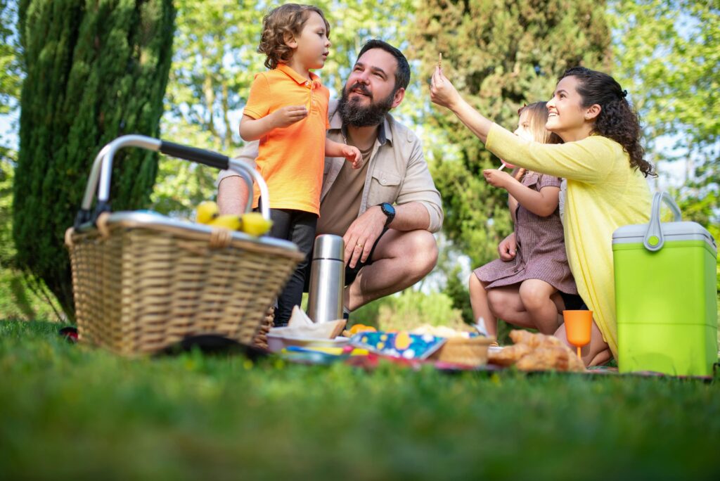 Backyard picnic
